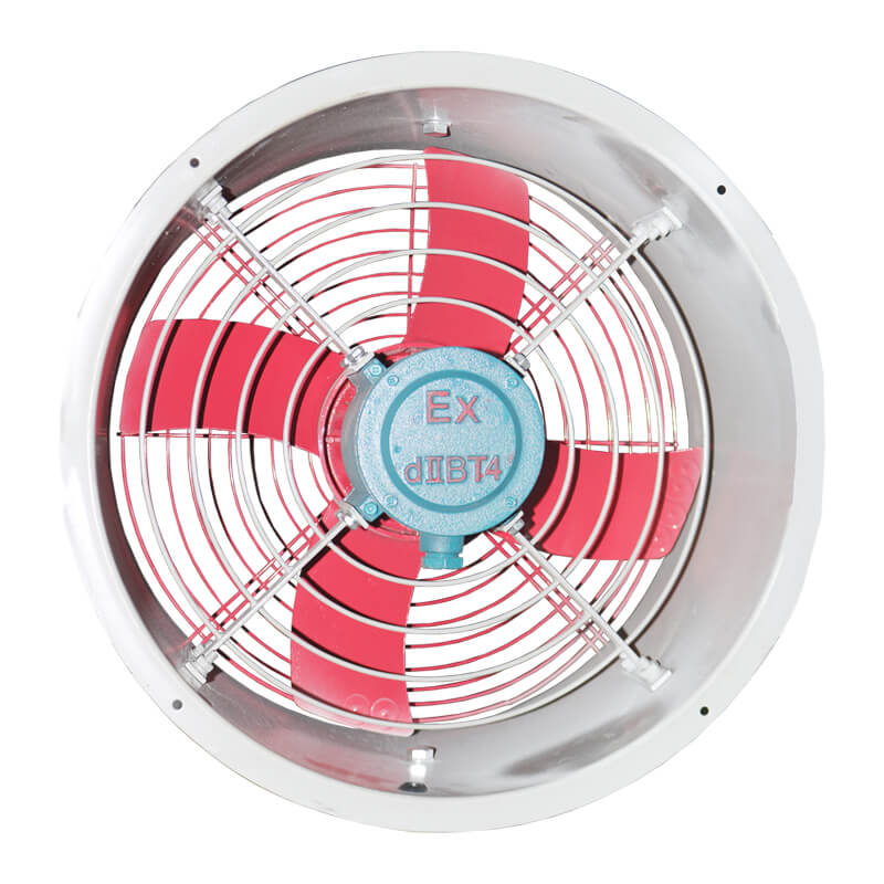 �����S���L�C